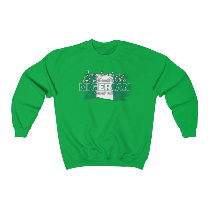 I May Be Cute Now - Nigeria Sweatshirt