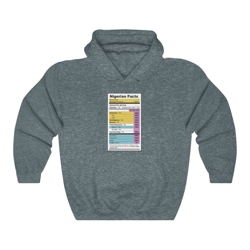 Nigerian Facts Hoodie