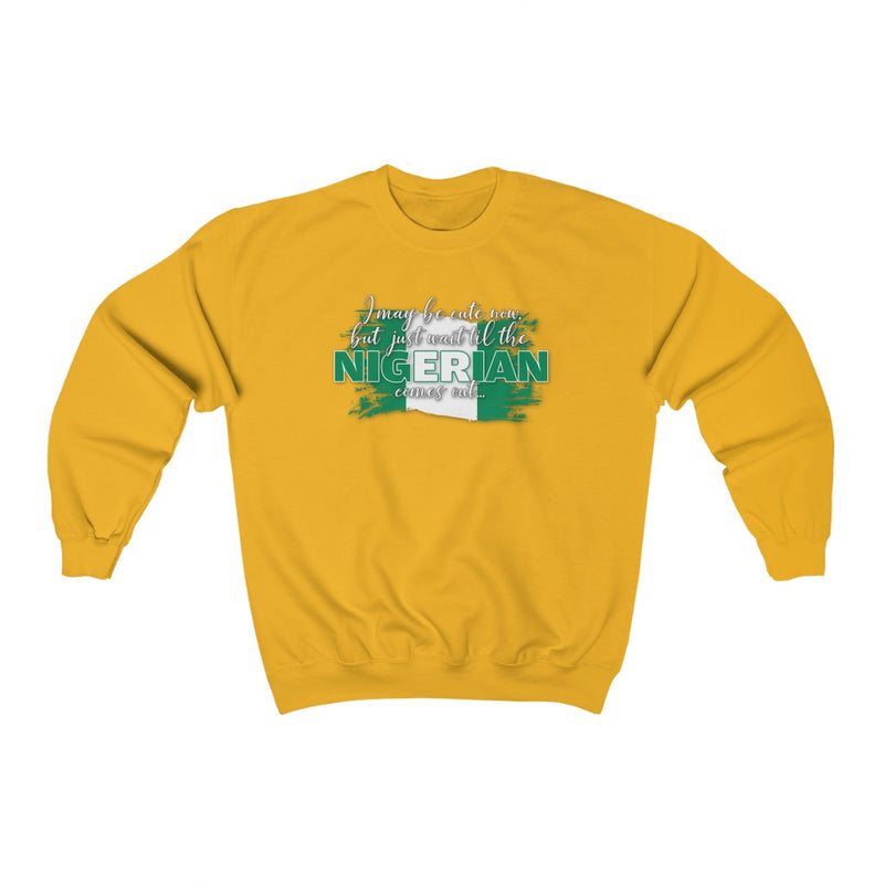 I May Be Cute Now - Nigeria Sweatshirt