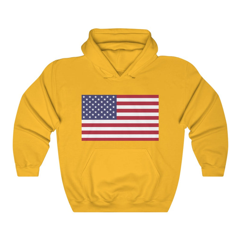 USA Flag Hoodie